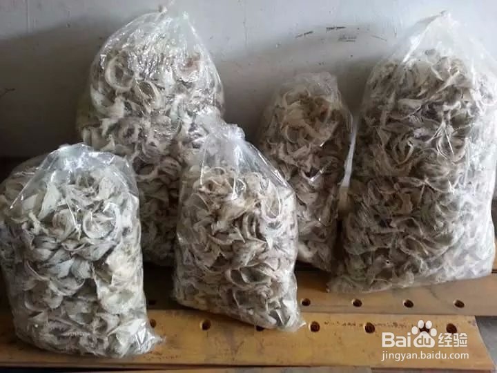 燕窝的保存方法与步骤
