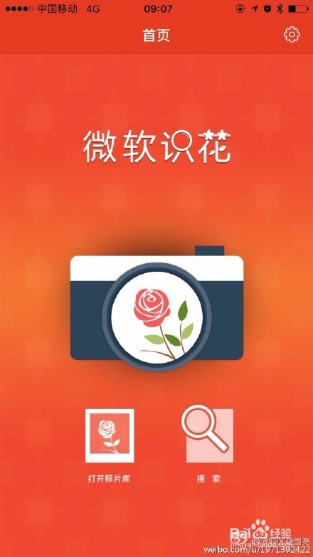 如何正确使用微软识花