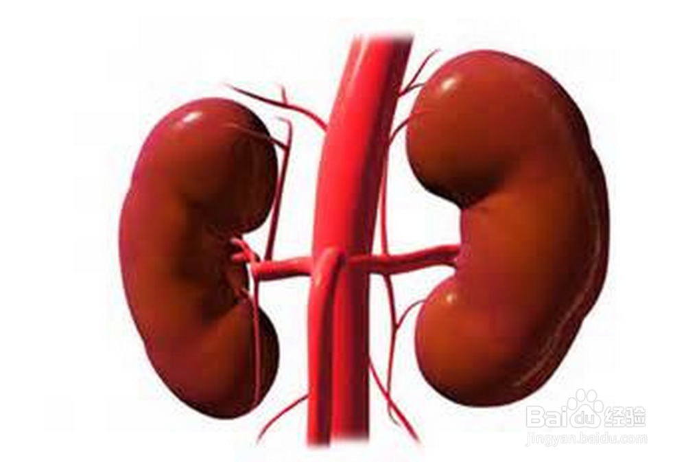 如何从人体表面发现病症并且对症下药