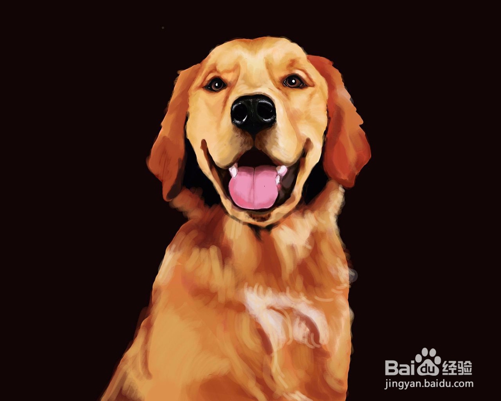 怎样读懂犬的心理特征?