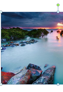 如何用ppt给图片添加文字