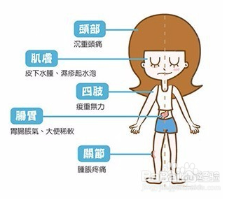 薏葛粉是到底是什么? 原材料是哪些
