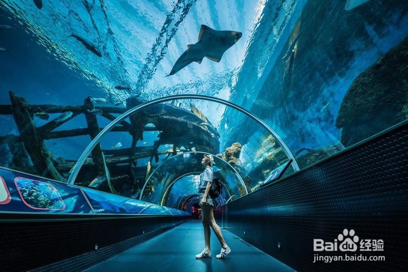 新加坡旅游简记19