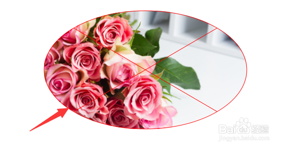 怎么使用PPT设计照片