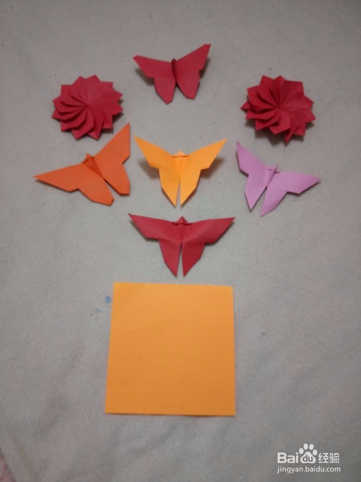 工艺美术馆：蝴蝶花园。