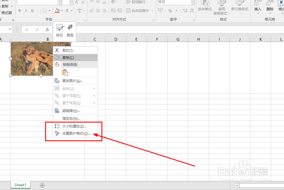 Excel如何让图片跟随单元格尺寸变化