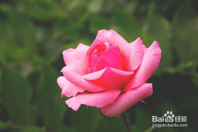 如何委婉地拒绝男生的表白？