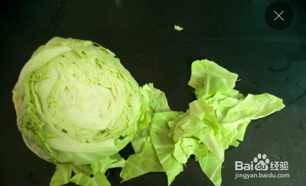 家常手撕包包菜