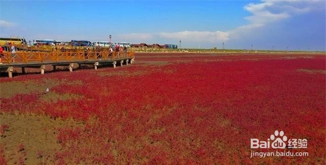 辽宁红海滩旅游好玩吗