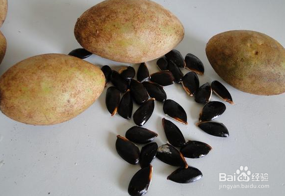 吃人心果的好处和坏处