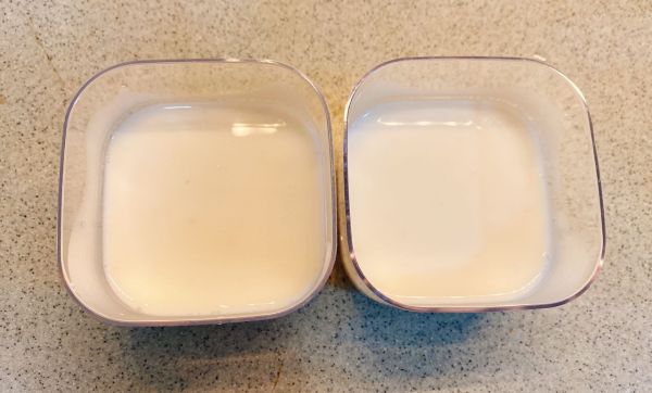 茉莉绿茶椰奶冻