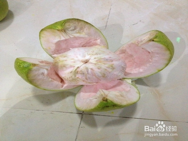 如何制作景观柚盆栽