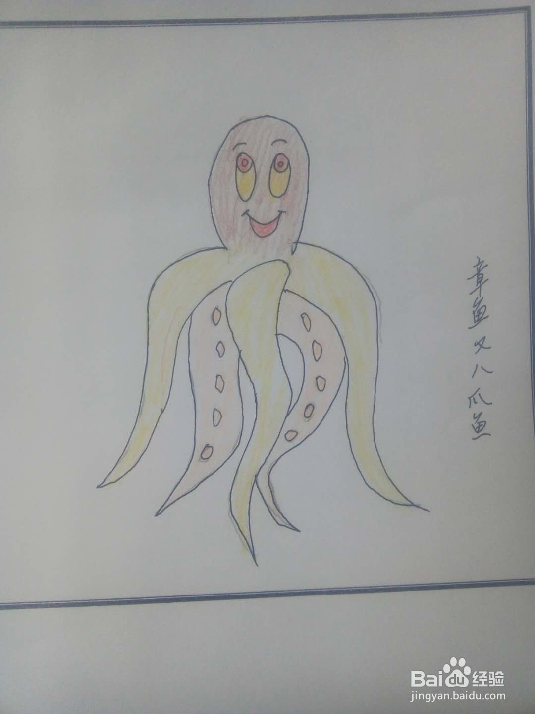 海洋生物怎么画