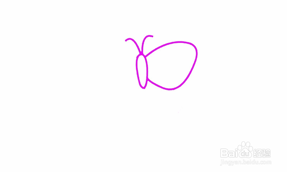 简笔画蝴蝶怎么画