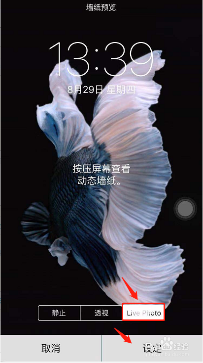 苹果6s怎么设置live photo动态锁屏