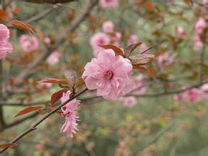 如何让自己拥有真挚的友情