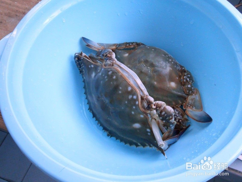 蒸海蟹的做法