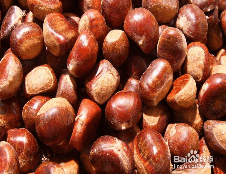 在家怎么用平底锅炒板栗