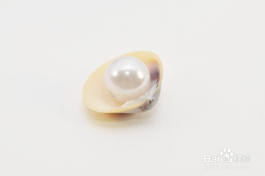 怎样自己制作一条贝壳珍珠项链?