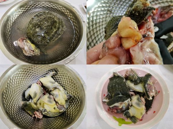 红烧甲鱼烧鸡块