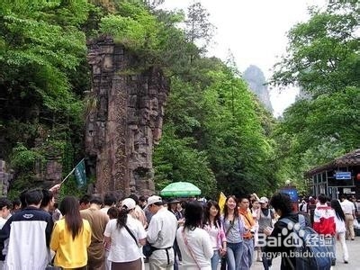 张家界客栈联盟