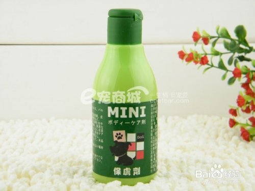 猫咪皮肤真菌病的治疗与预防
