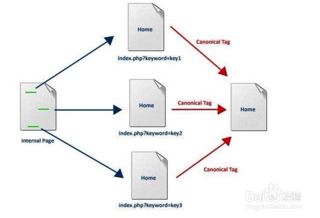 网站怎么增加canonical代码