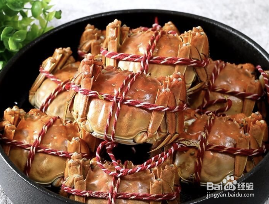 怎么轻松辨别螃蟹公母?以及如何清蒸大闸蟹