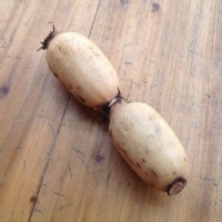 养生菜：花生莲藕煲