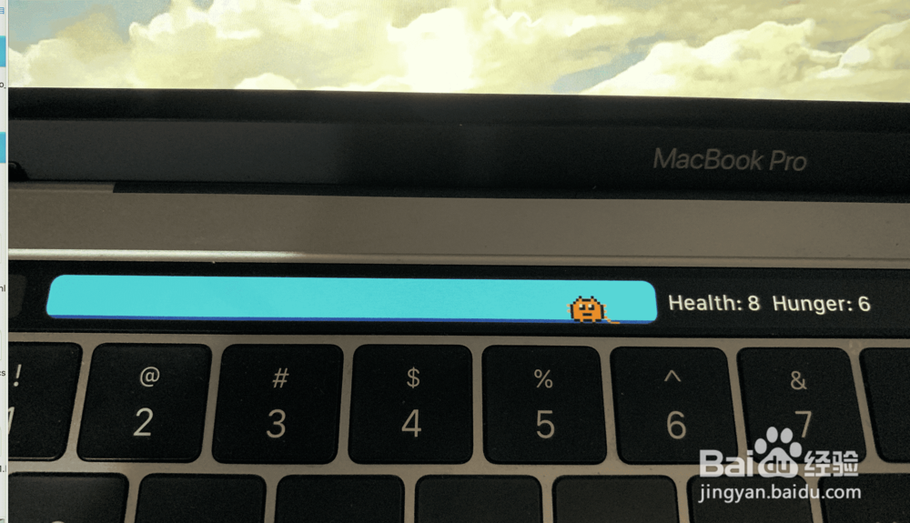 touch bar怎么养宠物