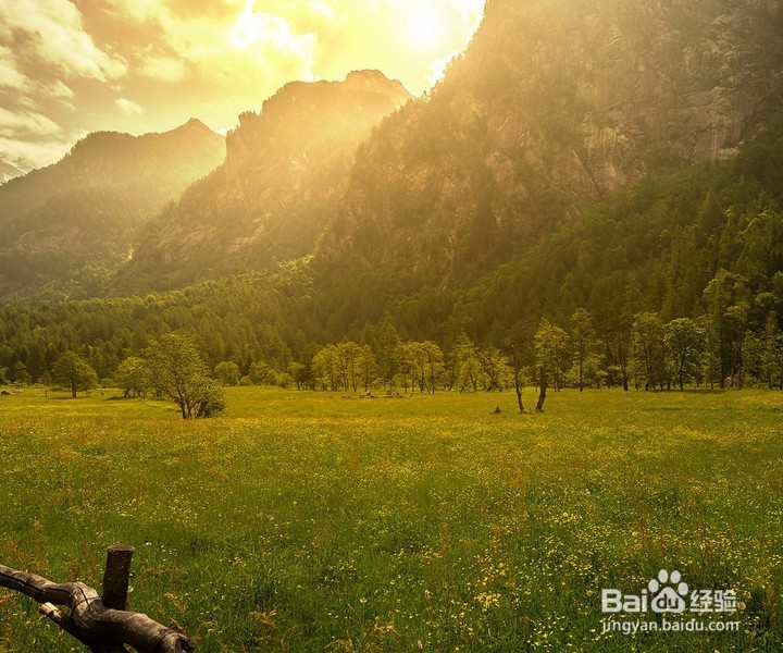 凉山森林火灾，我们以后遇到该怎么办？