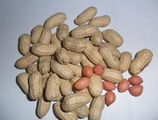 必吃的10种丰胸食物