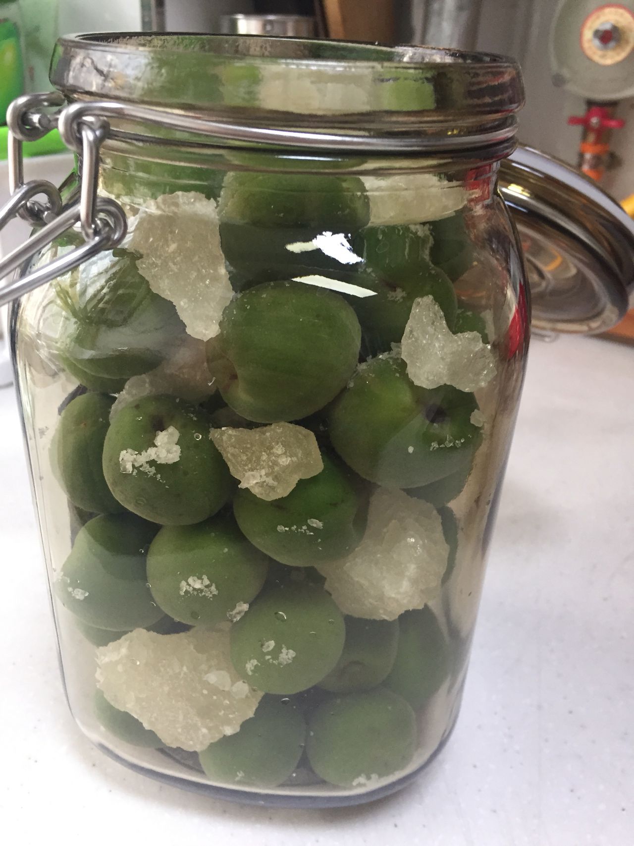 教你做梅子酒，喜欢喝的赶紧学起来