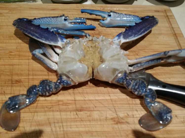 想吃姜葱梭子蟹？轻轻松松就能学会