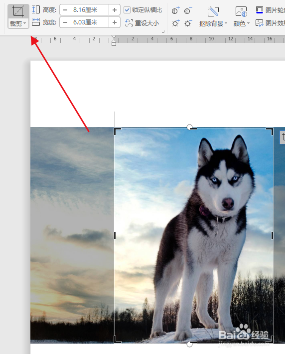 word文档如何裁剪图片大小