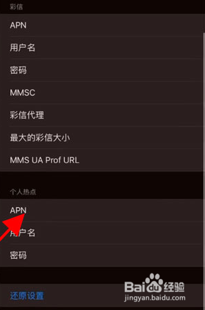 苹果手机apn功能在哪里