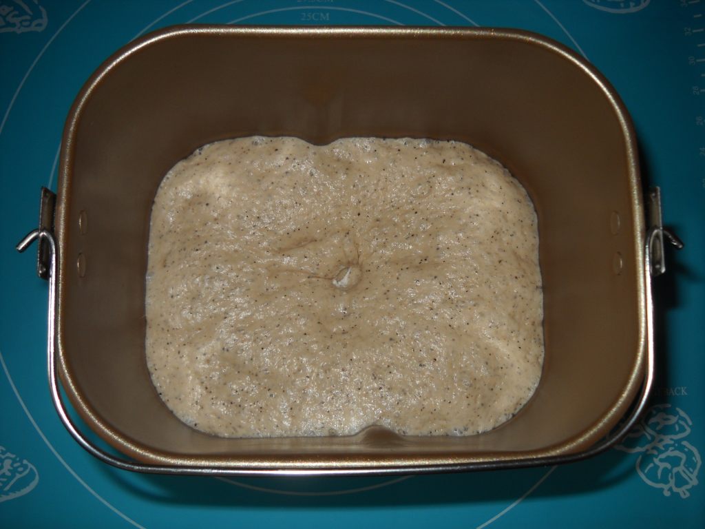 想吃黑豆肉松餐包？轻轻松松就能学会