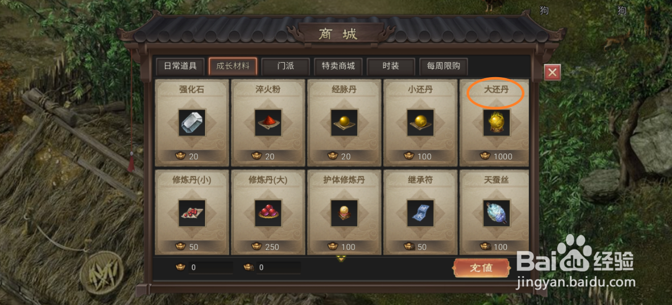 武林霸业的大还丹在哪里可以买到