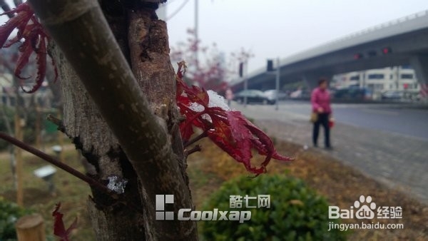诺基亚920拍照技巧景深研究