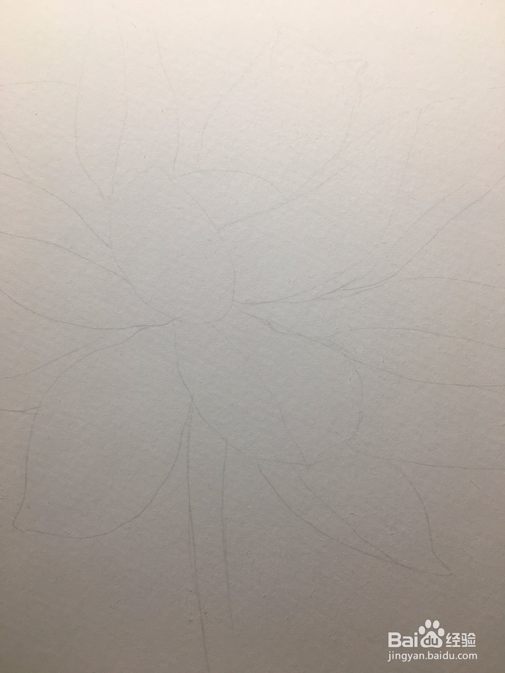 手绘画一朵荷花的彩铅画 莲花铅笔画