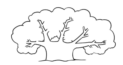 简笔画:孵蛋的母鸡和果树绘画步骤