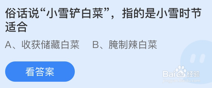 俗话说小雪铲白菜指的是小雪时节适合