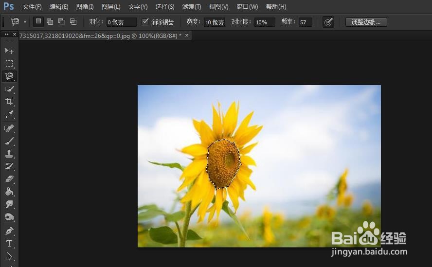 PS如何使用磁性套索工具抠图