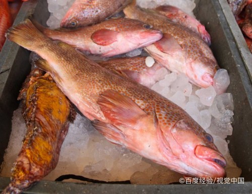 吃裸斑鱼禁忌