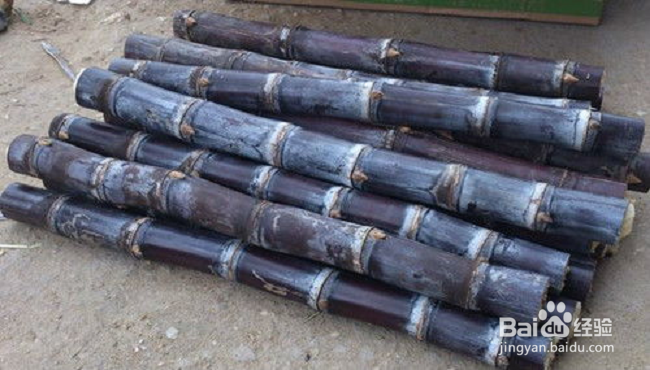 宝宝咳嗽吃什么能止咳