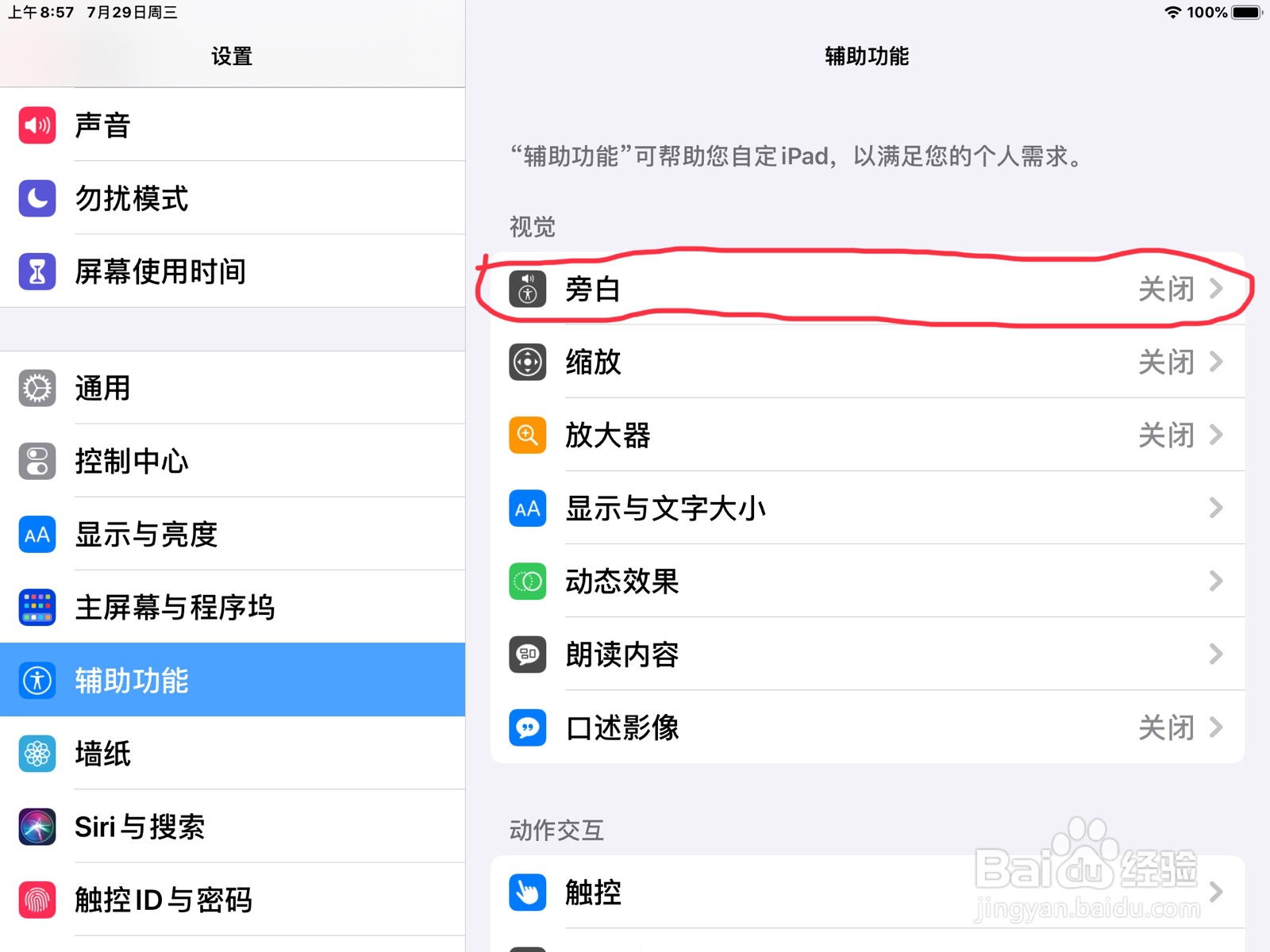 iPad怎么在旁白打开盲文输入的自动翻译