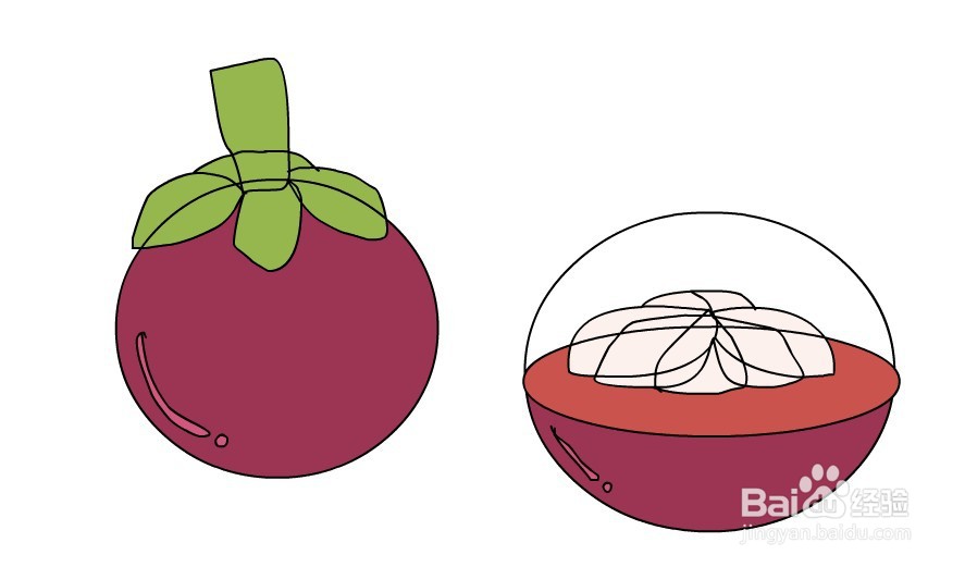 flash如何绘制山竹水果