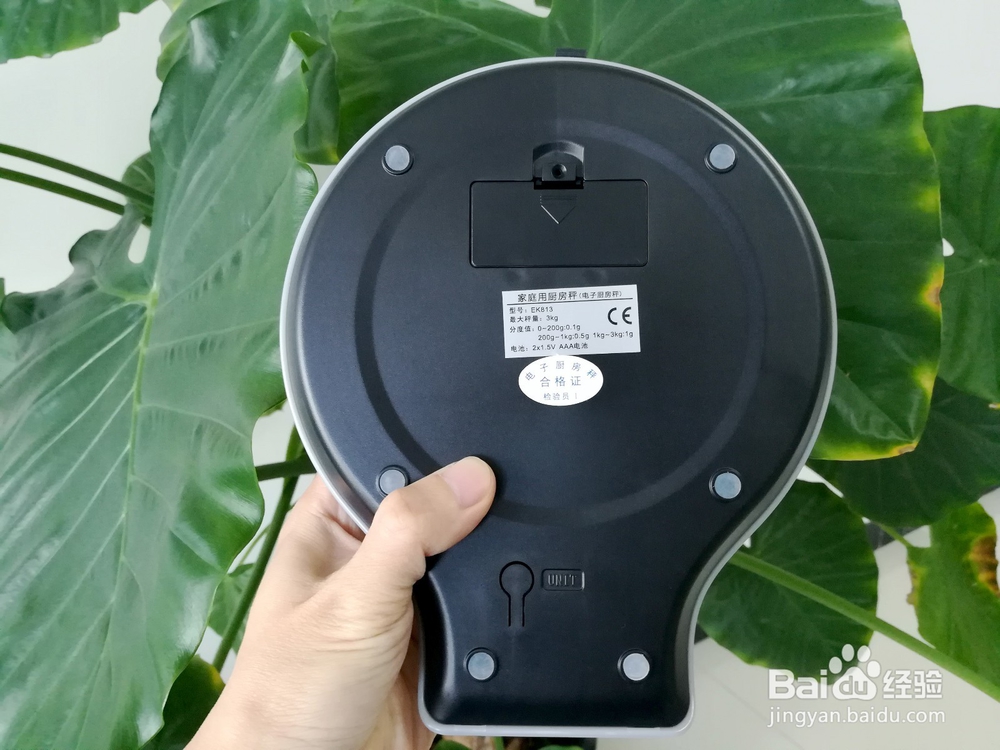 香山EK813精准电子秤开箱晒物