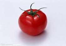 <b>西红柿的诸多益处，看看有益</b>