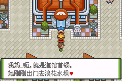 口袋妖怪釉色攻略（27）